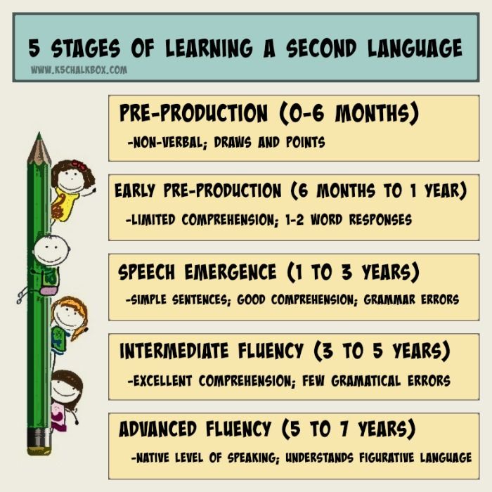 Stages of Second Language Image